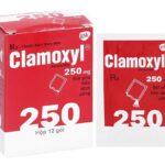 Clamoxyl 250mg là thuốc gì?