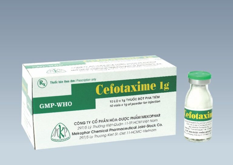 Cefotaxime là thuốc gì?
