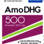 Công dụng thuốc AmoDHG 500