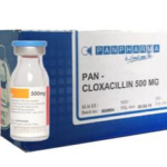 Công dụng thuốc Pan-Cloxacillin 500mg
