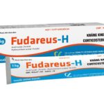 Công dụng thuốc Fudareus H