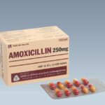 Công dụng thuốc Amoxicillin 250