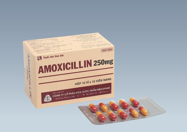 Công dụng thuốc Amoxicillin 250