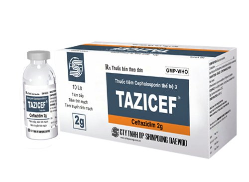 Công dụng thuốc Tazicef