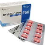 Công dụng thuốc Levofloxacin SPM 250