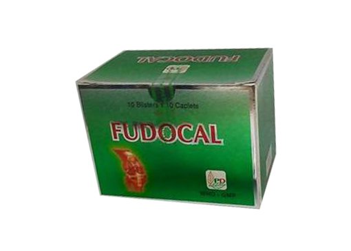 Công dụng thuốc Fudocal