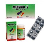 Công dụng thuốc Merynal – V