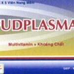 Công dụng thuốc Fudplasma