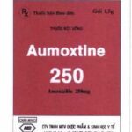 Các tác dụng phụ của thuốc Aumoxtine 250