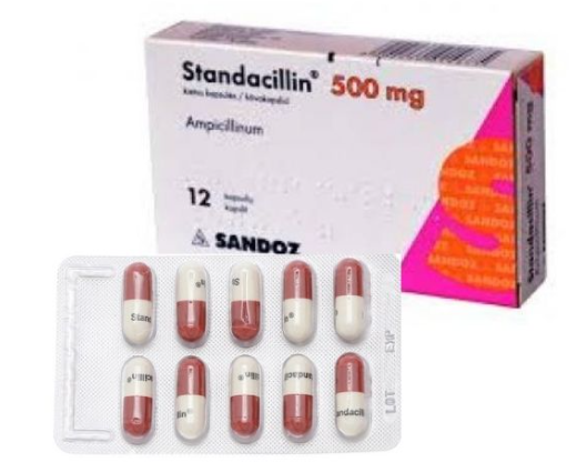 Lưu ý khi dùng thuốc Standacillin 500mg