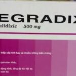 Công dụng thuốc Negradixid