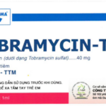 Công dụng thuốc Tobramycin-TV
