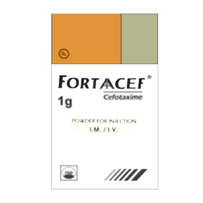 Công dụng thuốc Fortaacef 1g