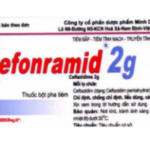 Công dụng thuốc Sefonramid 2g