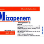 Công dụng thuốc Mizapenem 1g