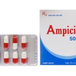 Hướng dẫn liều dùng thuốc Ampicillin 500mg