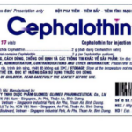 Công dụng thuốc Cephalothin 2g