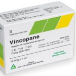 Công dụng thuốc Vincopane