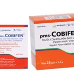 Công dụng thuốc Cobifen