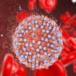 Bệnh viêm gan do virus là gì?