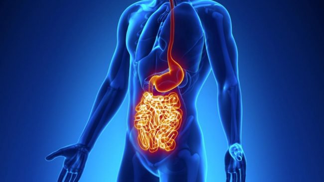 Bệnh Crohn có di truyền không?