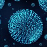 Tìm hiểu về tỉ lệ thải trừ virus viêm gan B
