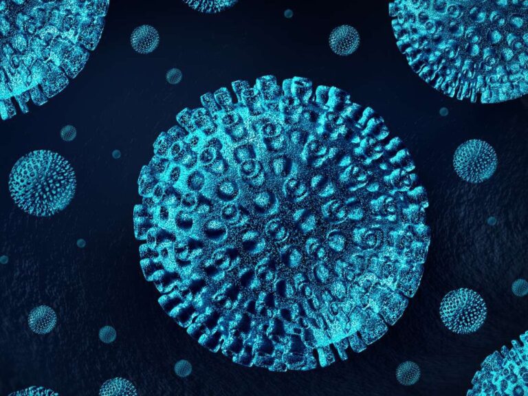Tìm hiểu về tỉ lệ thải trừ virus viêm gan B
