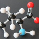 Vai trò của axit amin và khoáng chất trong bệnh viêm ruột