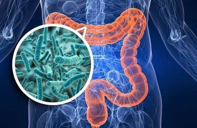 8 điều đáng ngạc nhiên gây hại cho vi khuẩn đường ruột của bạn