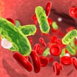 Ảnh hưởng của nhiễm trùng huyết với cấu trúc hệ vi khuẩn đường ruột