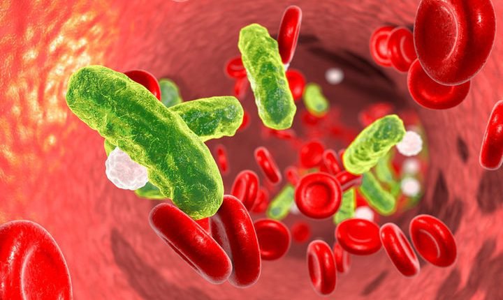 Ảnh hưởng của nhiễm trùng huyết với cấu trúc hệ vi khuẩn đường ruột
