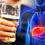 Vai trò của axit mật trong bệnh gan do rượu mà hệ vi sinh vật đường ruột làm trung gian
