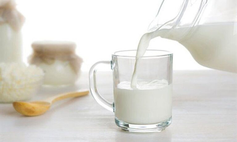 Tiêu hóa sữa diễn ra thế nào?