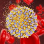 Virus viêm gan E là gì?
